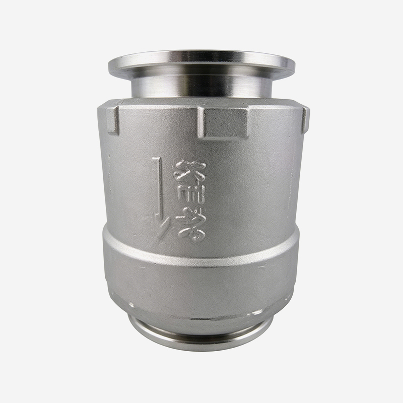 Vertical Check Valve