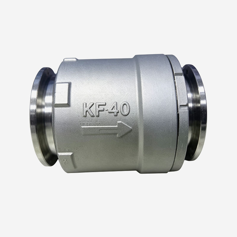 Multi-directional Check Valve